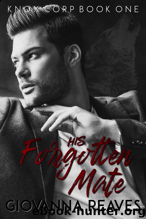 The Forgotten Mate And The Alpha Prince His Forgotten Mate by Giovanna Reaves - free ebooks download